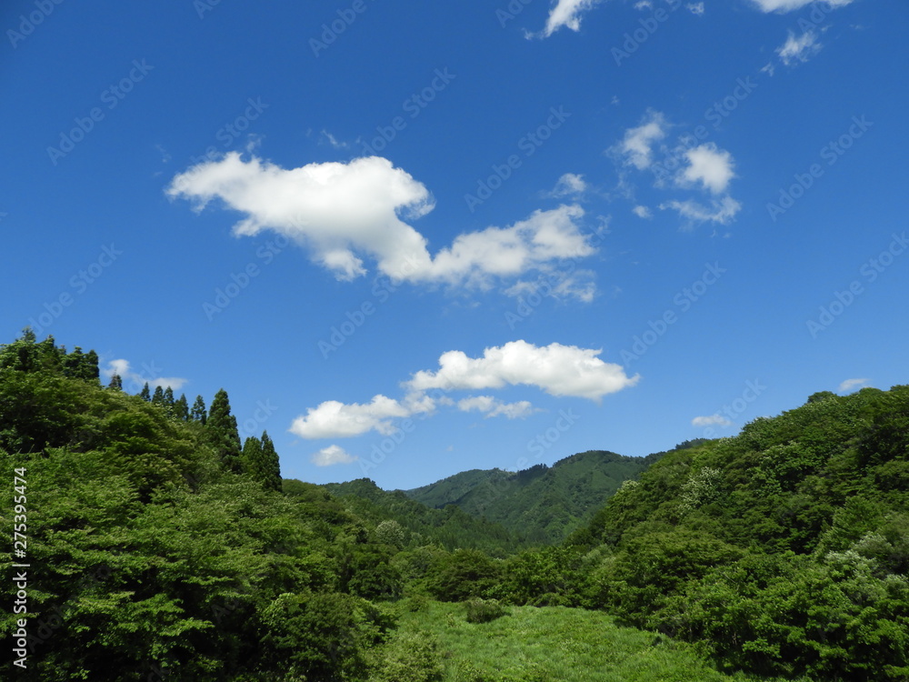 新緑の山々と青空・秋田市太平山麓