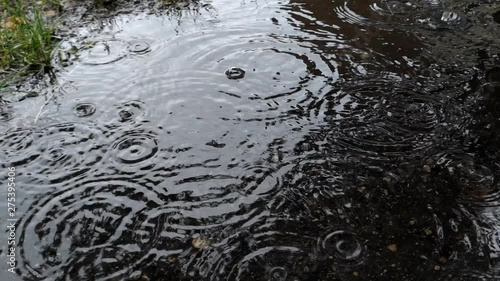 Close up of water rippling as rain falls onto a puddle flooding near grass