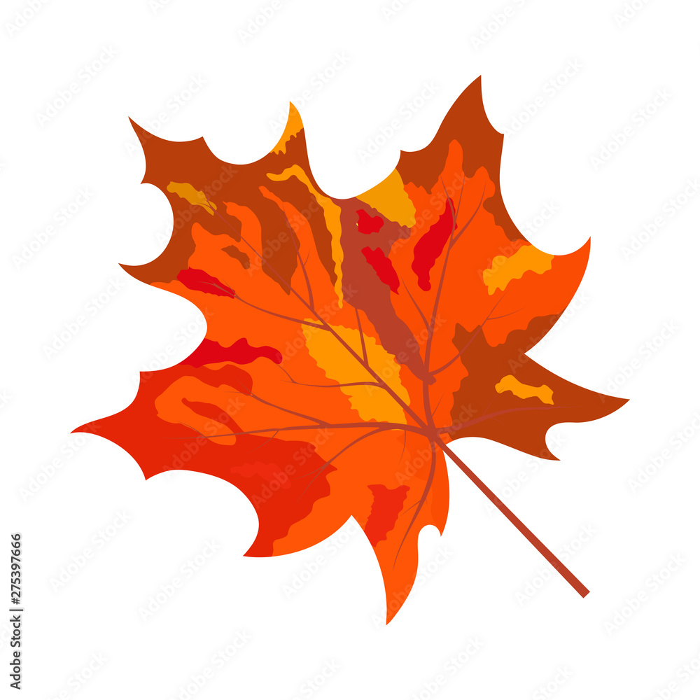 Autumn Maple Leaf Autumn Maple Leaf