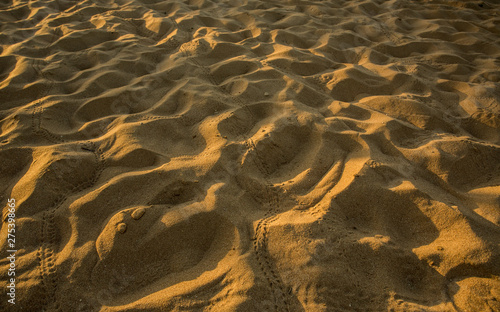 desert, beach, a lot of pitted sand