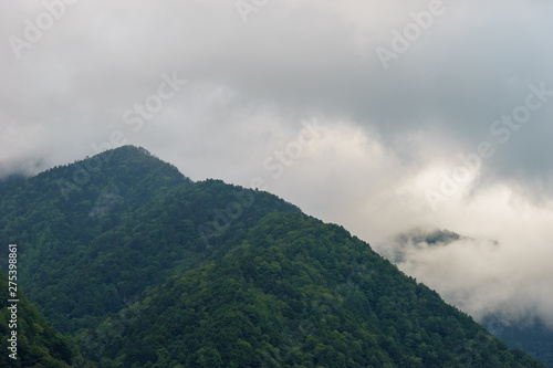 Mountain in the mist