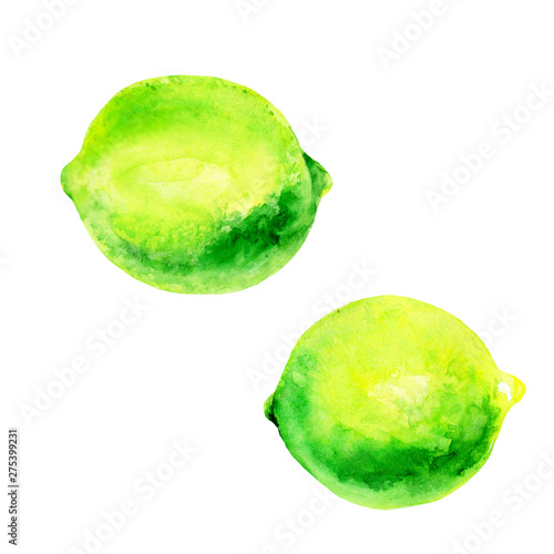 Watercolor lime set juicy fruit and lime slice isolated on white background. Hand painted food illustration Design. Healthy vegan food. Can be used as greeting card for birthday, wedding, healthy