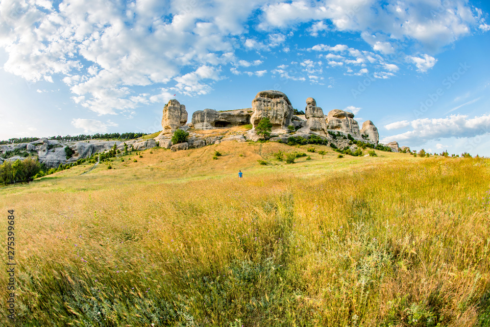 Blue sky and filed landscape. 