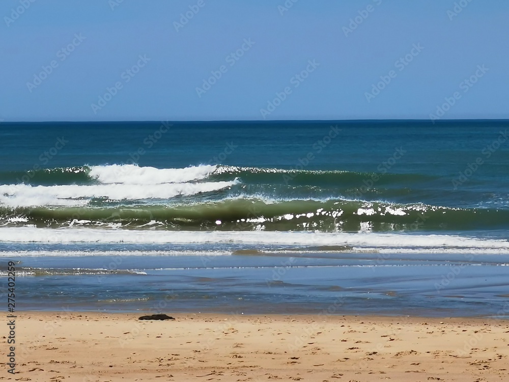 fracne atlantic coast beach summer