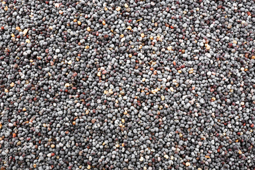Many poppy seeds as background