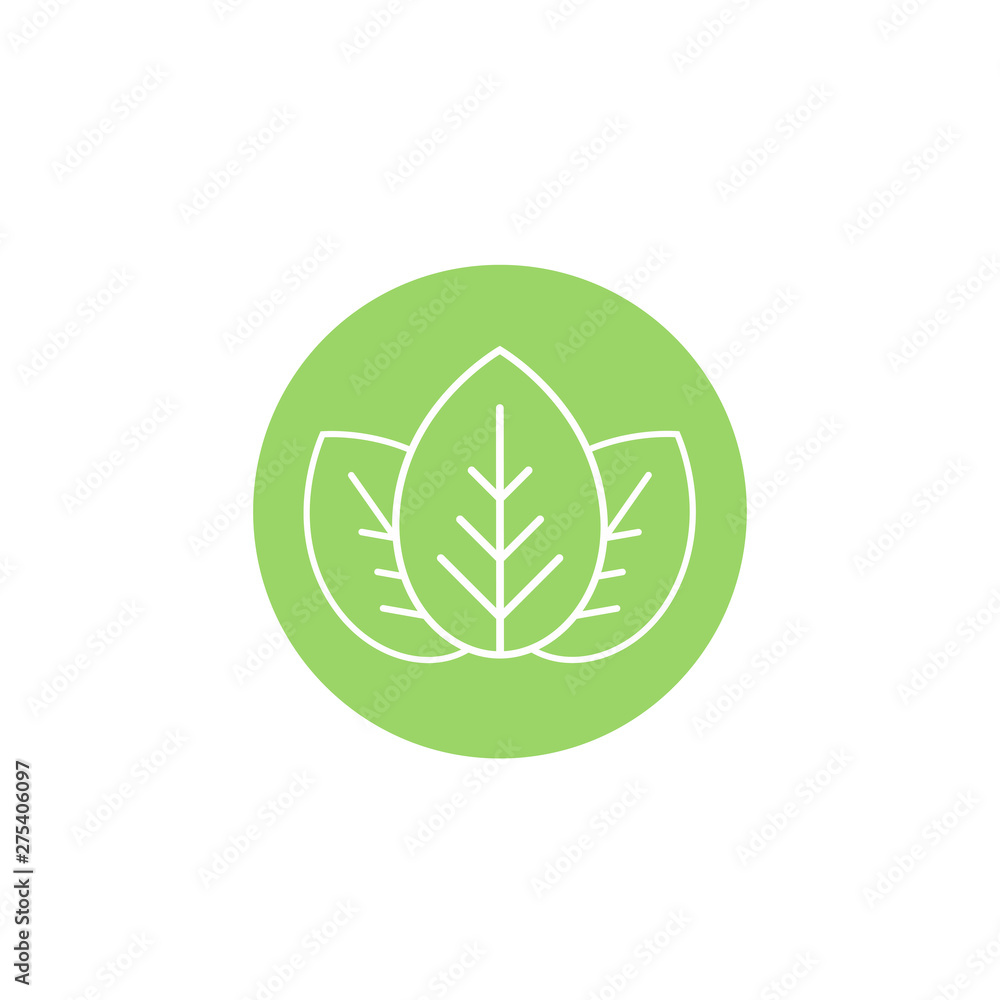 Contour of three white leaves in green circle. eco icon. isolated on white. Vector illustration. Contour of three white leaves in green circle. eco icon. isolated on white. Vector illustration.