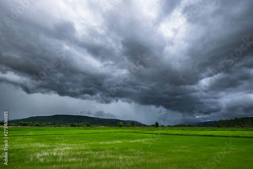 Rain Clouds Over Rice Field © patpitchaya