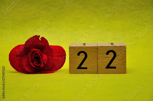 Number twenty two with a red flower on a yellow background