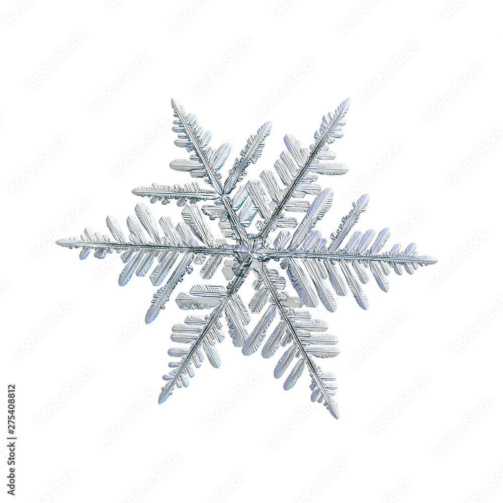 Snowflake isolated on white background. Macro photo of real snow crystal: elegant stellar dendrite with fine hexagonal symmetry, glossy relief surface, complex inner details and six thin, ornate arms. Snowflake isolated on white background. Macro photo of real snow crystal: elegant stellar dendrite with fine hexagonal symmetry, glossy relief surface, complex inner details and six thin, ornate arms.