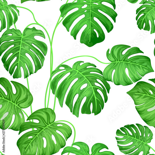 Seamless background with monster leaves of tropical plants. Exotic monster leaves on white background. Amazing leaf pattern. Vector graphics. © Костенко