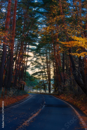 Fuji lakes area road during autumn at sunset, Japan