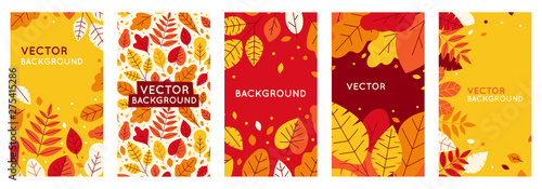 Vászonkép Vector set of abstract backgrounds with copy space for text - autumn sale