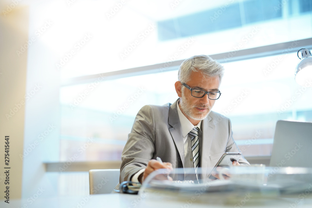 Mature businessman working in contemporary office Mature businessman working in contemporary office