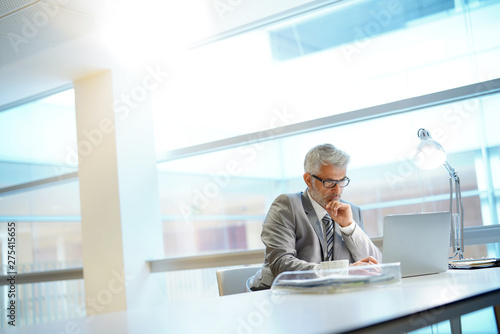Mature businessman working in contemporary office