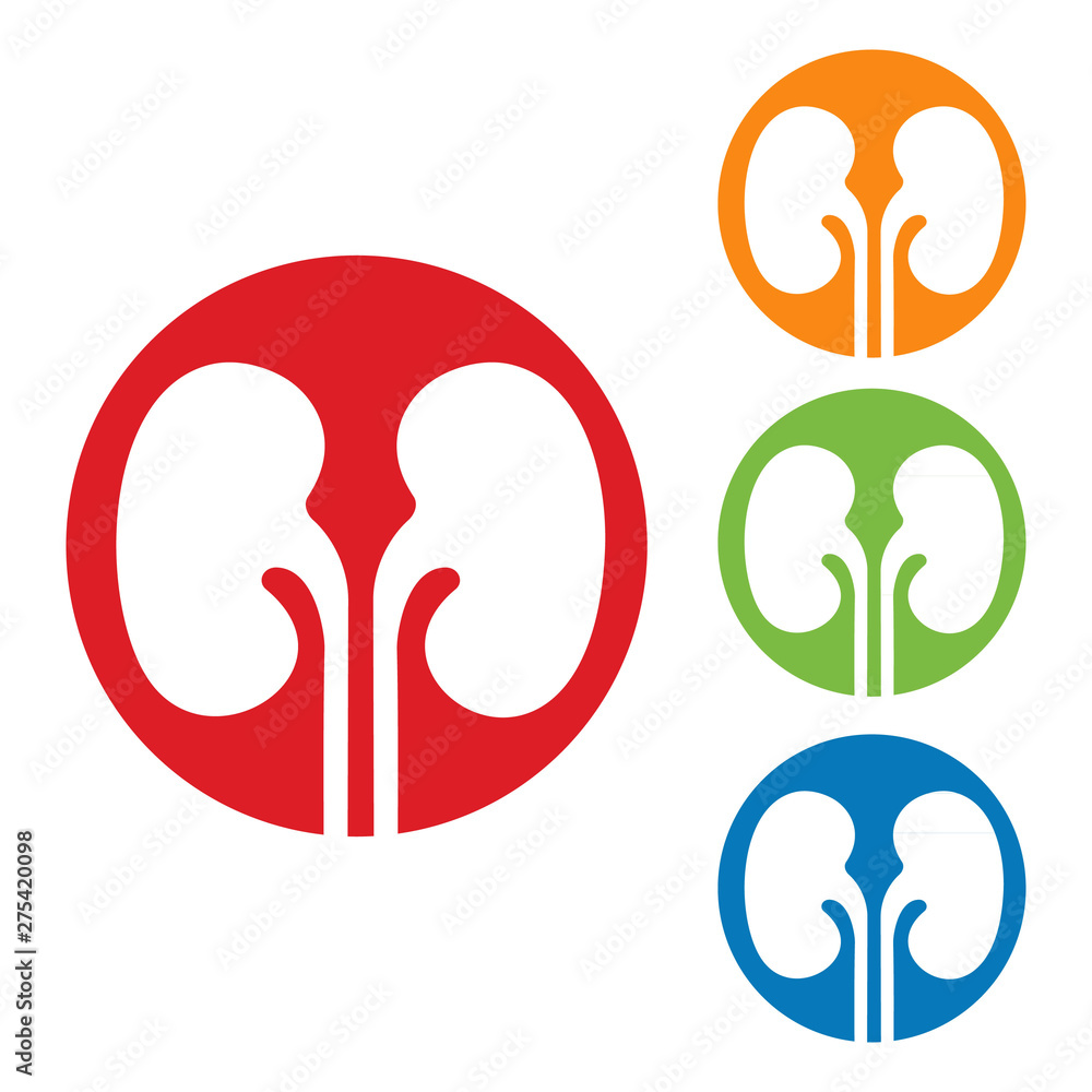 illustration of kidney urology logo illustration of kidney urology logo