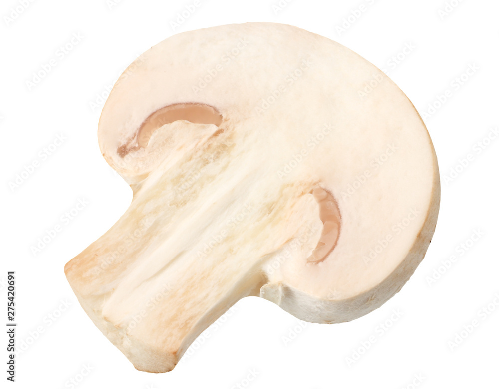 Fototapeta premium mushrooms isolated on white background. top view