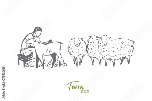 Collecting wool concept sketch. Isolated vector illustration