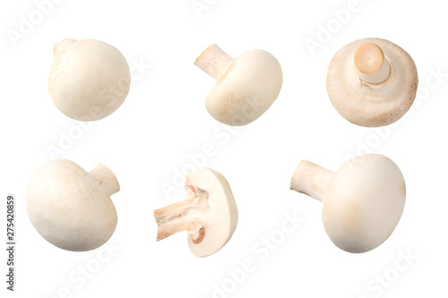 Wallpaper Mural mushrooms with slices isolated on white background. top view Torontodigital.ca