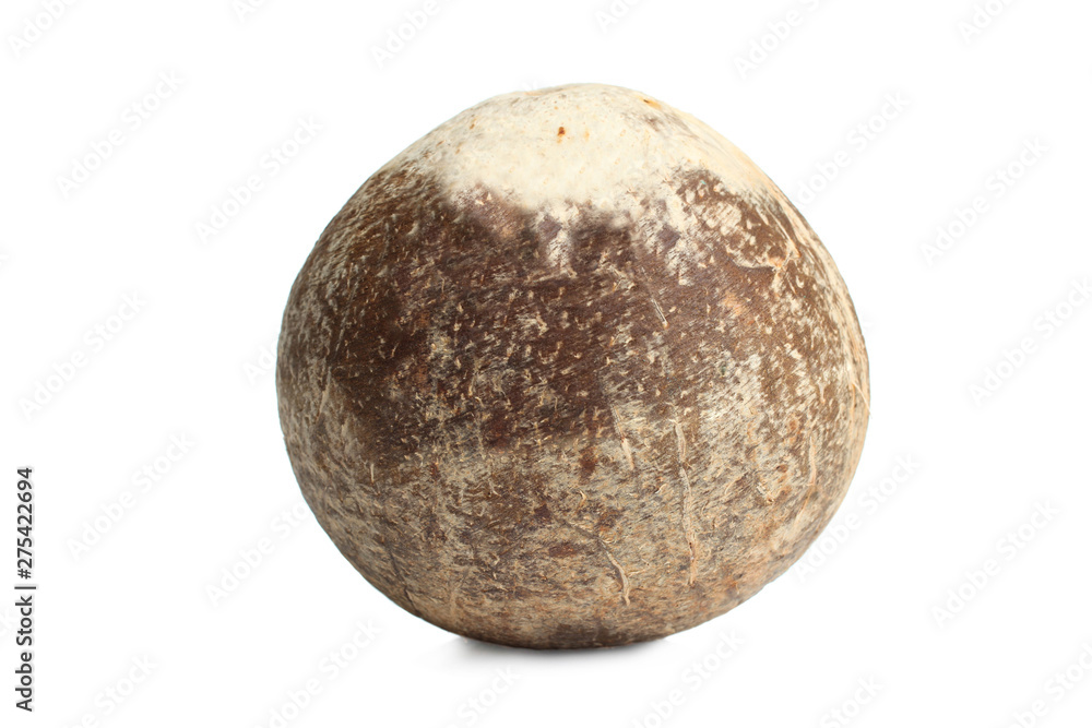 tropical exotic coconut tropical exotic coconut