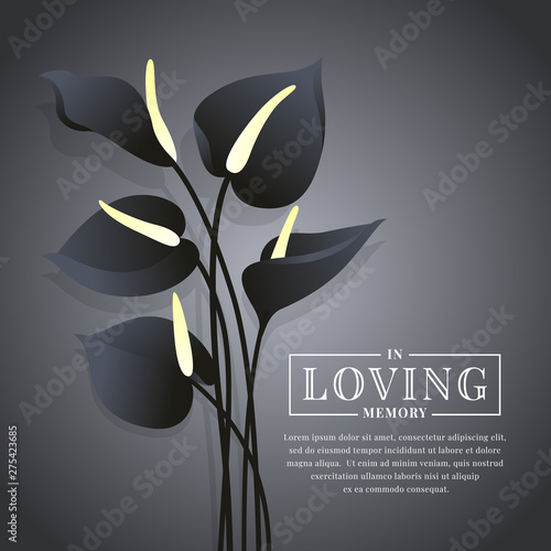 Black Anthurium flower on dark background with in loving memory text vector design