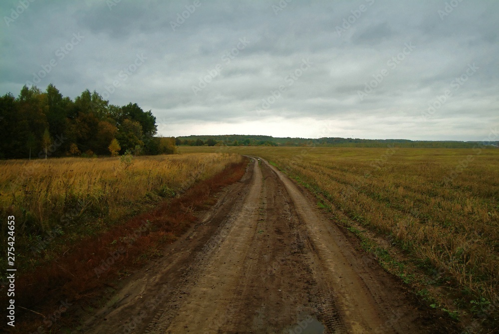 Obraz premium cloudy autumn evening in the countryside, Russia.