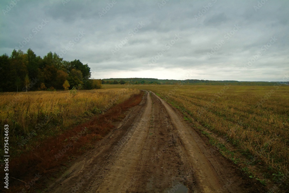 cloudy autumn evening in the countryside, Russia.