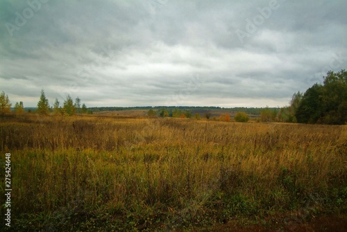 cloudy autumn evening in the countryside  Russia.