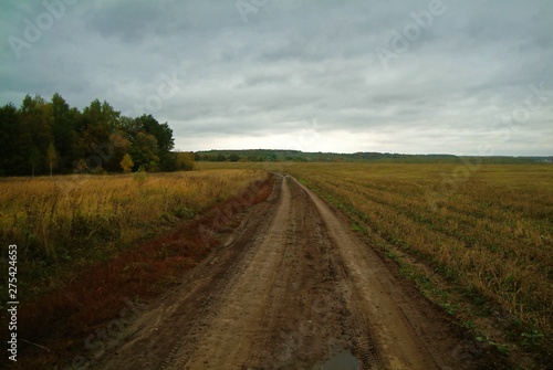 cloudy autumn evening in the countryside, Russia.