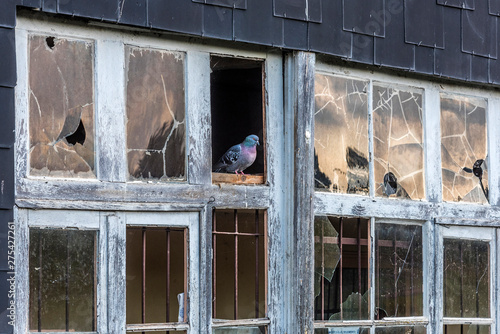 France, Pyrenees-Atlantiques, Oloron-Sainte-Marie (French Town of Art and History), broken windows of an old workshop by the Gave d'Aspe photo