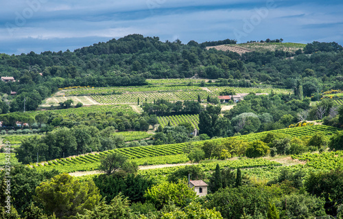France, Vaucluse, Enclave des Papes, Visan, Cotes-du-Rhone Village AOC vineyard