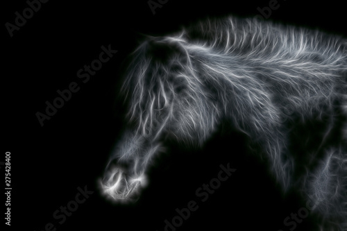 Fractal image of a homemade black horse close-up on a contrasting black background