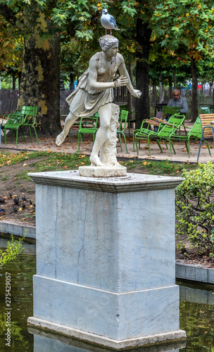 France, 1st arrondissement of Paris, Tuileries Garden, gull perched on the head of a statue