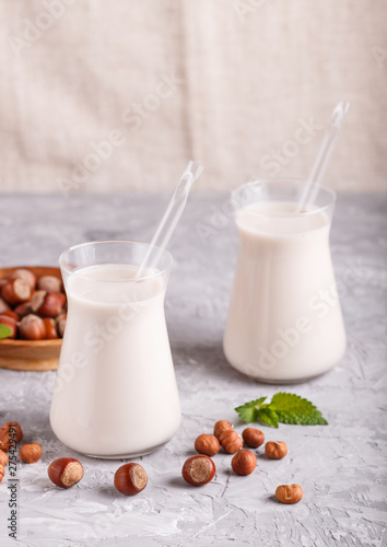 Organic non dairy hazelnut milk in glass and wooden plate with hazelnuts on a gray concrete background.