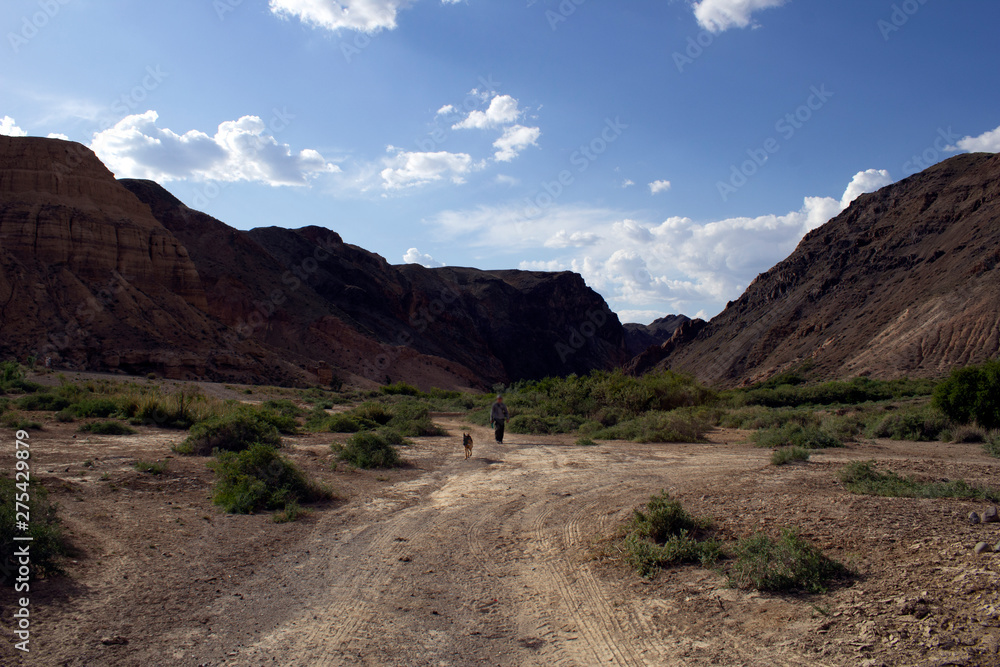 Stunning beauty, the majestic Charyn canyon