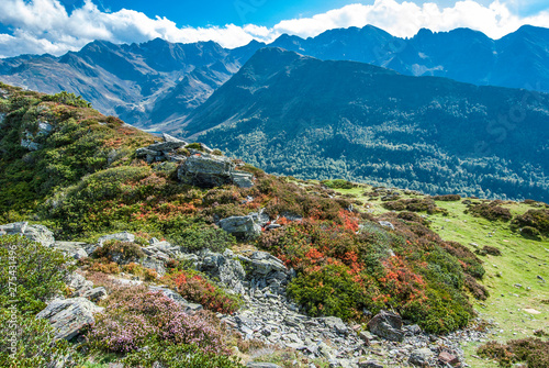 France, Pyrenees National Park, Hautes-Pyrenees, Hautacam mountain, blueberries and heather at autumn photo