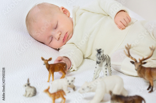 Young infant in white layette of 2 months sleeping on a whitebed surrounded by small farm animals. photo