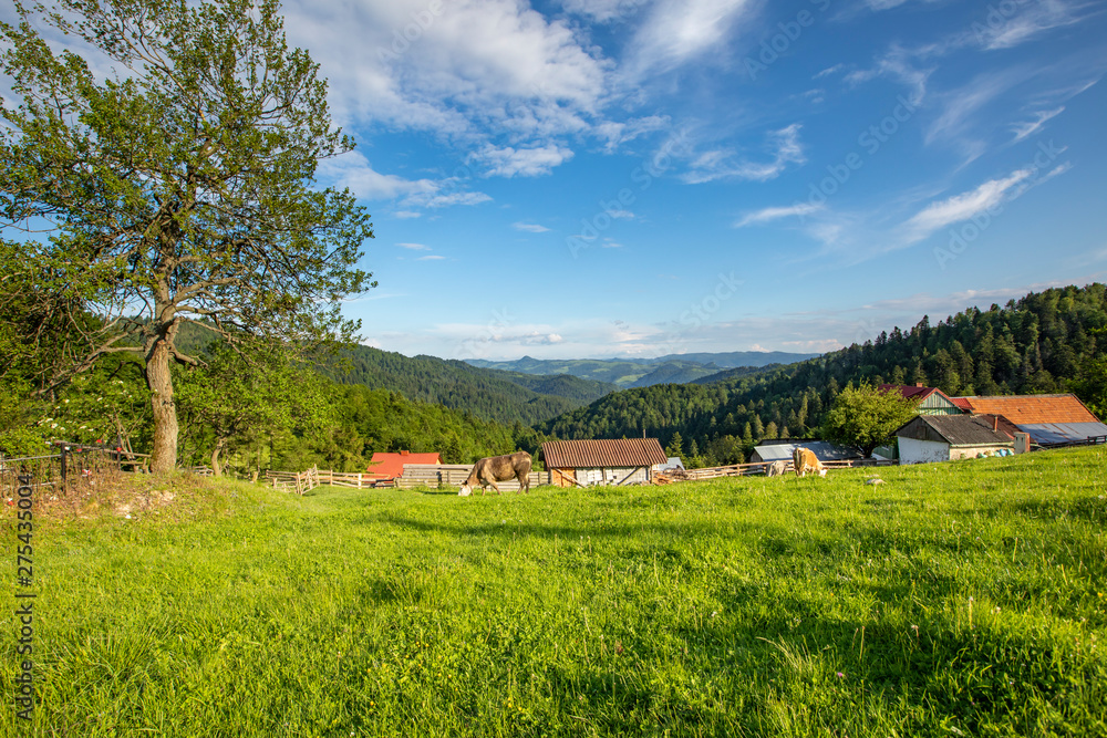 Beskid Sądecki - Góry Karpaty