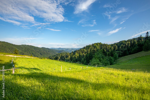 Fototapeta Naklejka Na Ścianę i Meble -  Beskid Sądecki - Góry Karpaty