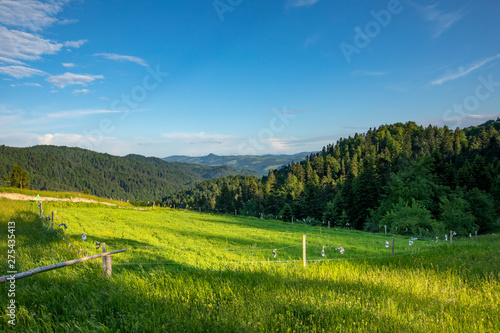 Fototapeta Naklejka Na Ścianę i Meble -  Beskid Sądecki - Góry Karpaty