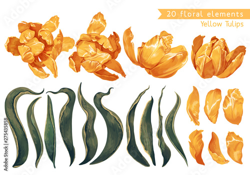 Set of floral elements with yellow tulips flowers and leaves for your design, posters, cards, prints for clothing, wallpaper, wrapping paper, wedding invitation, patterns, wallpapers, fabric.