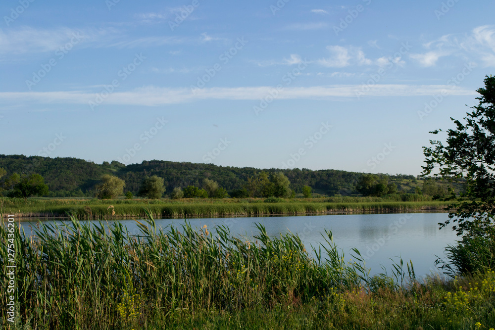 lake with reeds and blue sky