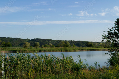 lake with reeds and blue sky