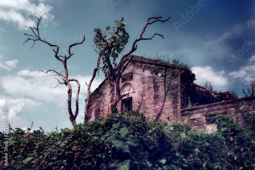 Mount Xiqiao, Foshan, Guangdong, China. The mountain is an important scenic area and designated as a national forest park and national geological park. Abandoned house, dead tree.               