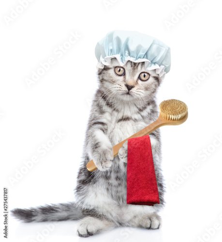 Funnykitten with shower cap holding towel and bath brush. isolated on white background