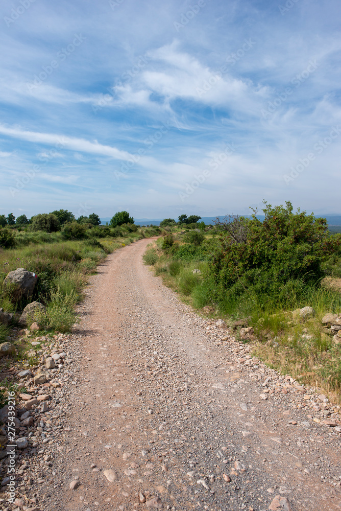 Fototapeta premium Rural road between mountains of the Sierra de Gudar, Valbona