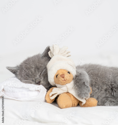 Cute baby kitten sleeping with toy bear on pillow at home