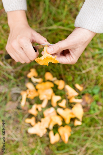 season, nature and leisure concept - female hands cleaning chanterelles by knife and basket of mushrooms on grass in forest
