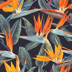 Fototapete Tropische Paradiesblumen-Muster Strelitzia Blüten auf dunklem Hintergrund  © MPetrovska