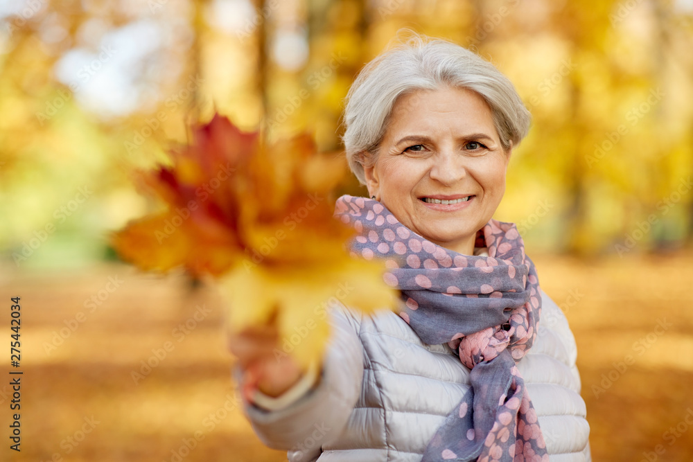 old age, retirement and season concept - portrait of happy senior woman with maple leaves at autumn park old age, retirement and season concept - portrait of happy senior woman with maple leaves at autumn park