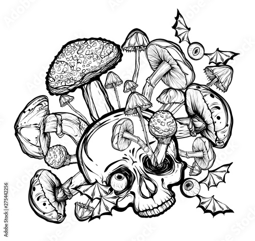 Halloween.Vector illustration.Skull,mushrooms.Handmade,prints on T-shirts, background white.tattoos